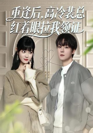 是我的错歌词少女时代