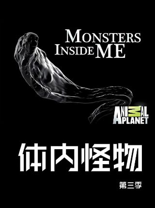 铁骨芳心第9集免费观看全集