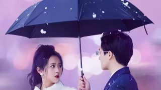 《爱的代价》演唱视频播放全集下载百度云