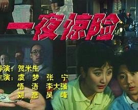 透明家庭第四季电视剧在线观看免费