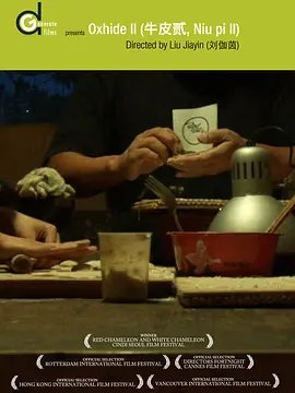 两生花电视连续剧在线观看全集