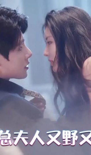 《陷阱》视频免费观看高清版下载全集电影