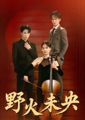《芭比与魔幻飞马之旅》红蓝版区别在哪