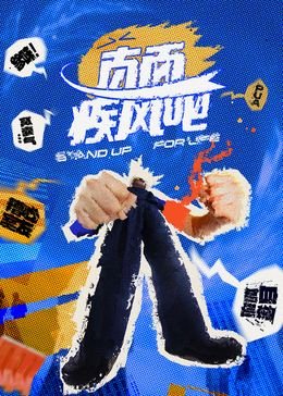 钢甲卡卡龙19