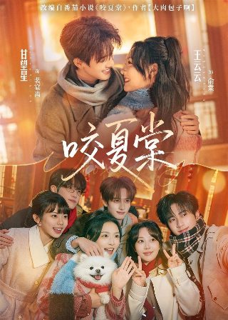 复仇的助理演员表介绍大全