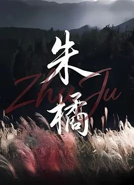 津门飞鹰第十三集剧情介绍