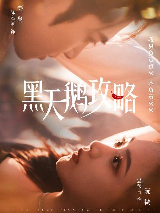《扫黑风暴》全集观看33集下载安装视频