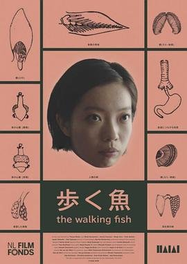 《我的后半生》免费观看27集高清视频播放