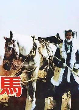妖精的尾巴国语版在哪看全集动漫