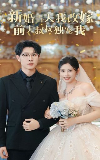 《十面埋伏》的吻戏