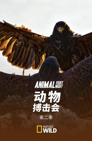 电影星星剧情介绍大全视频下载