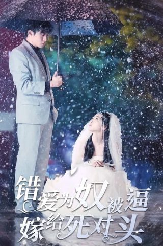 《蜗居》张嘉译演员表名单图片大全集下载