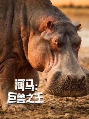 如懿传电视剧百度网盘下载