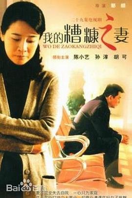电影凤凰琴1993演员表名单大全
