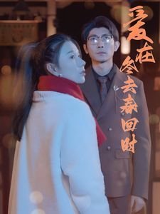 《神圣使命》大结局视频讲解