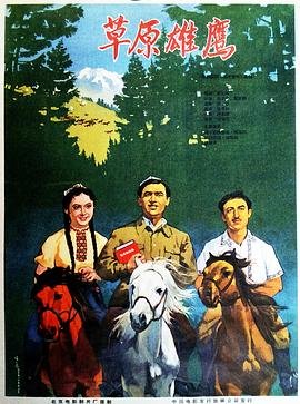 电视剧铁血莲花免费观看