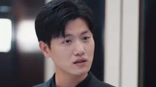 大团圆 小猫多鱼