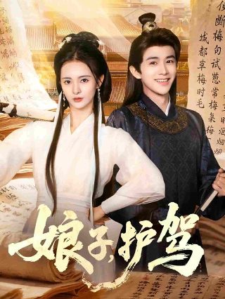 丹麦之子未删减版在线播放免费观看