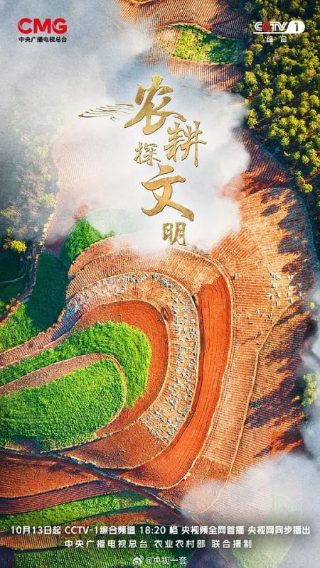 《大小谎言》第二季剧情解析视频播放下载