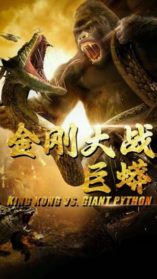 白马公主第二季迅雷下载资源