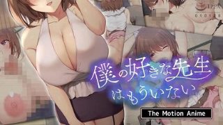《奇迹熊先生》电视剧在线观看高清
