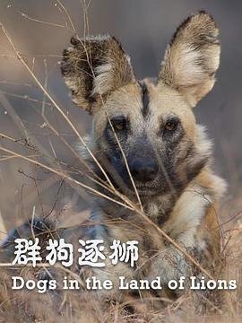 狼烟电视剧第一集剧情介绍大结局