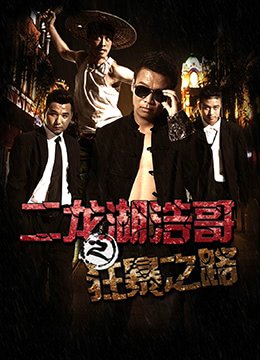 危情谍战 下载百度网盘资源