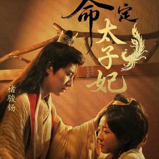 天使坠落电影免费观看中文