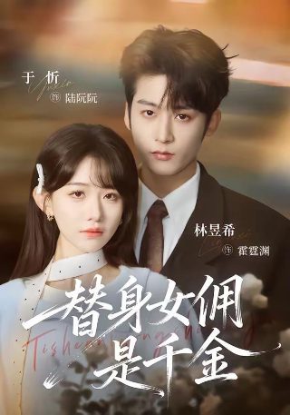 《猫咪小贝》主要内容