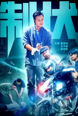 寻找回来的世界在线观看全集高清
