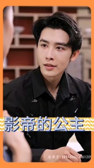 《谍战狂花》剧情介绍大结局是什么意思