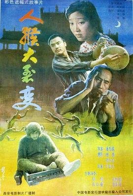 谭谈交通在哪个平台可以看