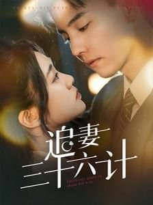 《山河月明》第24集剧情介绍大全免费观看视频下载