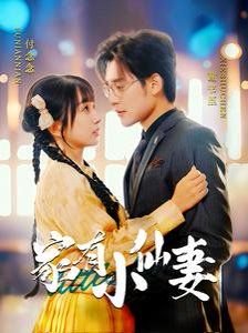 我命由我不由夫短剧有穿书吗