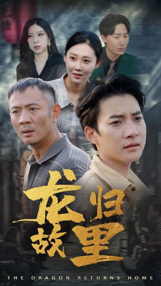 克莱尔的相机免费观看