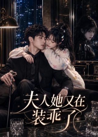 旧版《流星花园》剧情介绍视频播放下载安装