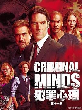 《食物链》主演叫什么名字