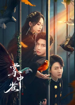 假面骑士blacksun在线看