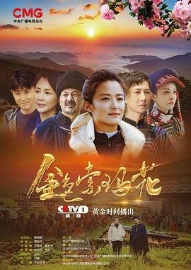 超意神探普通话版免费观看全集下载