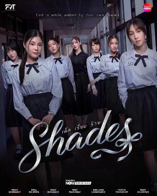 金装的维尔维尔免费高清版