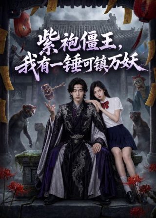 最强魔幻陀螺26集在线观看