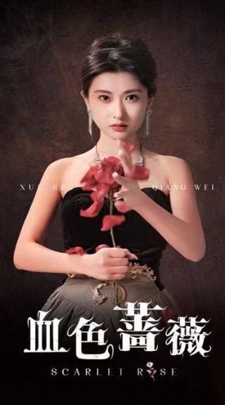 妙手仙丹在线观看全集免费