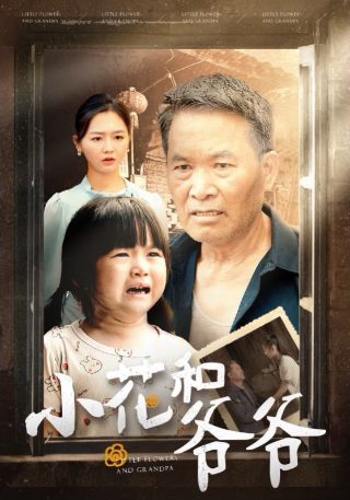 法官大人第一季剧情简介分集