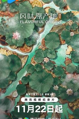 阳光之下电视剧20集