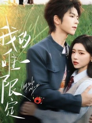假面骑士月骑第35集在线观看免费