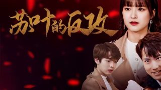 《心动8》大结局免费观看王珏视频播放下载