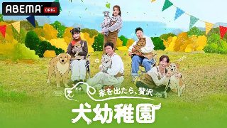 闪电舞电影完整版