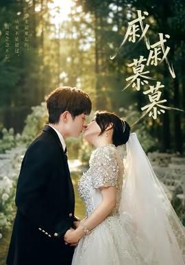 《战争与回忆》中文字幕版