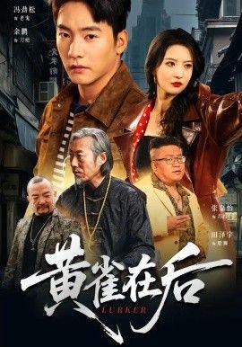 2022年dnf宠物外观