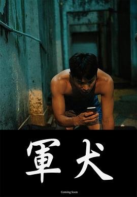 丛林奇航剧情介绍